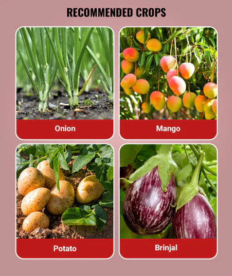 Tafgor Insecticide Tata Rallis