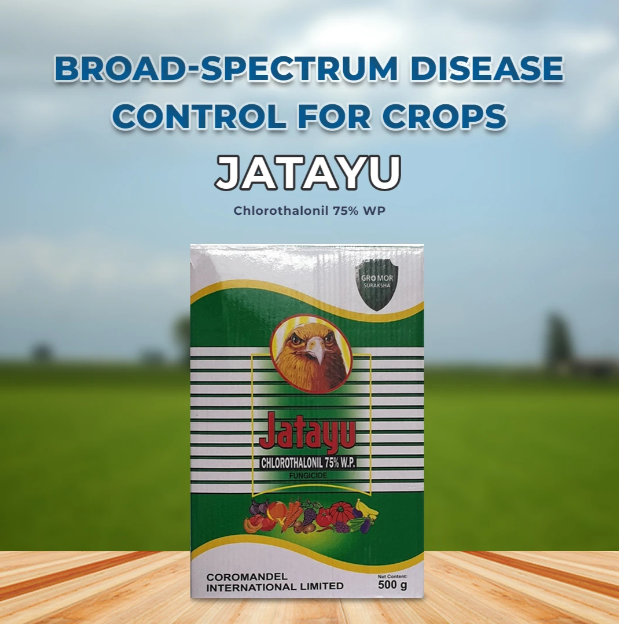 Coromandel Jatayu Chlorothalonil 75% WP Fungicide