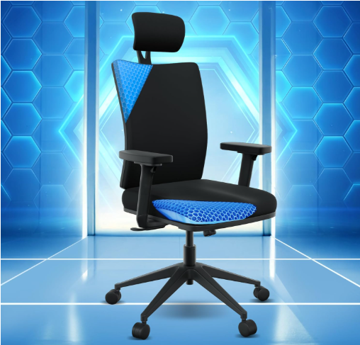 The Sleep Company Onyx Orthopedic Office Chair