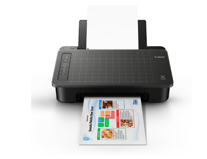 Canon Pixma TS307a Single Function