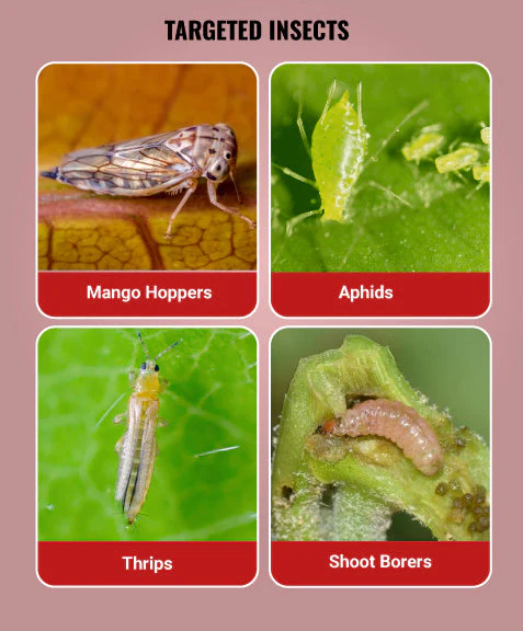 Tafgor Insecticide Tata Rallis