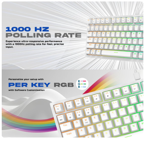 Cosmic Byte CB-GK-42 Phantom TKL Gasket Mechanical RGB