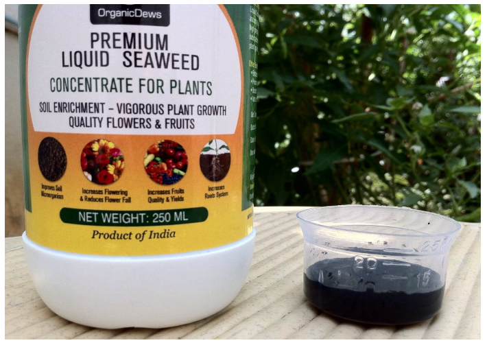 OrganicDews Liquid Seaweed Concentrate