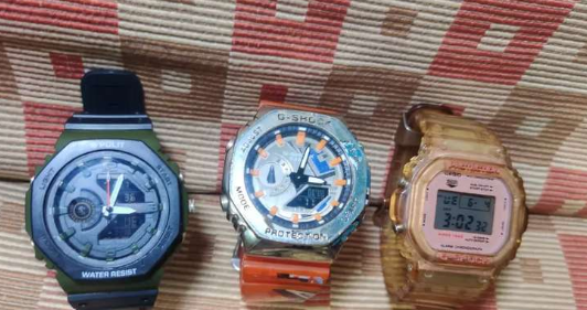 fossil brigges